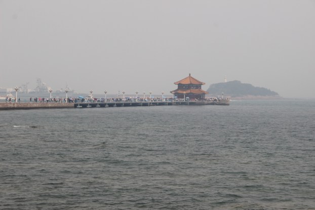 IMG_9982.JPG