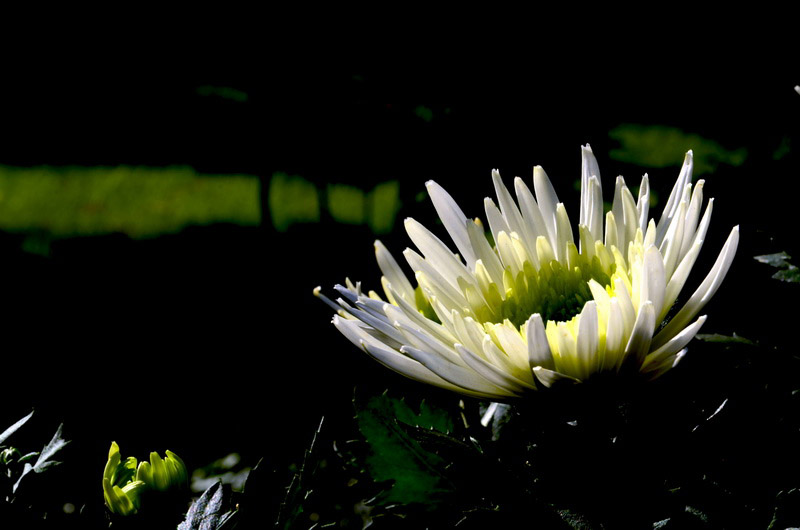 DSC_1466_ͼ_С.jpg