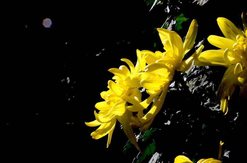 DSC_1489_ͼ_С.jpg
