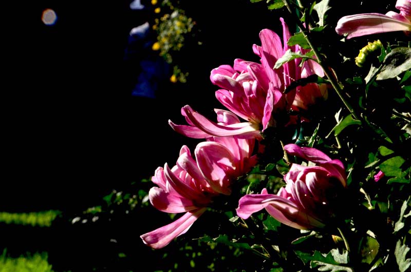 DSC_1510_ͼ_С.jpg