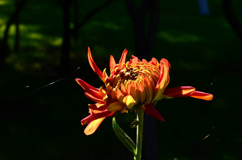 DSC_1522_ͼ_С.jpg