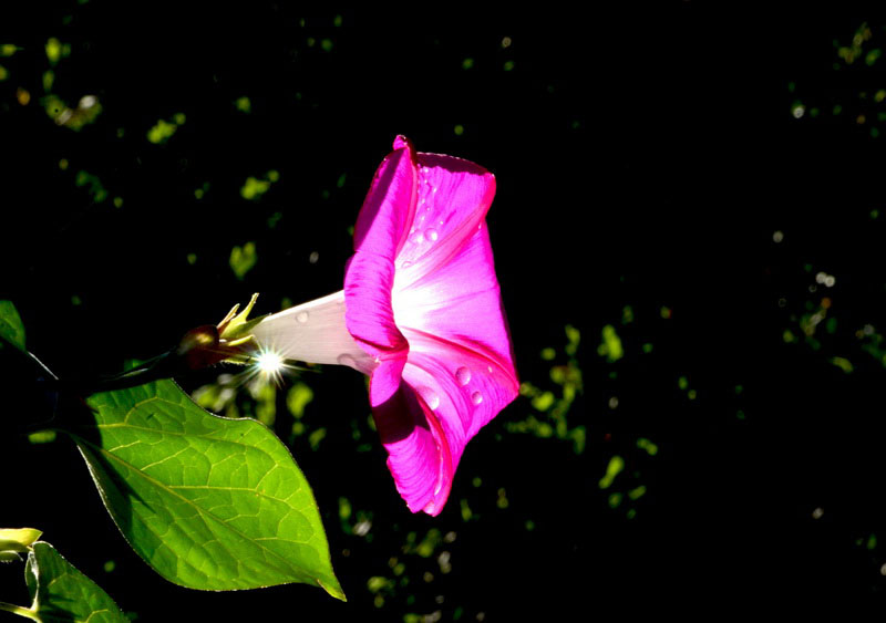 DSC_1476_ͼ_С.jpg