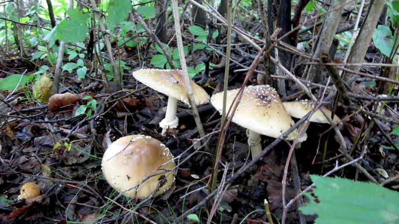 IMG_5012_ͼ_С.jpg