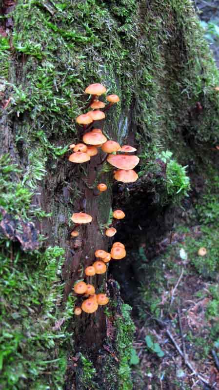 IMG_5038_ͼ_С.jpg