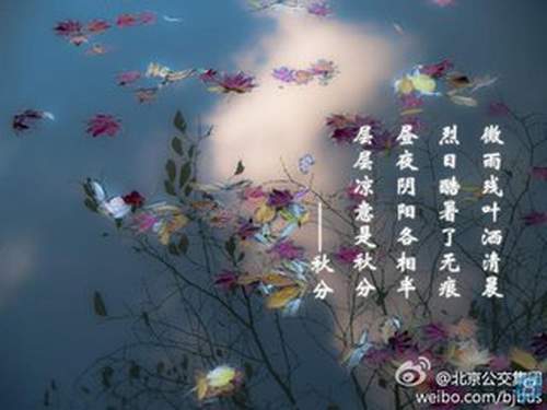 t01cf6e69a3dfe96f3a.jpg
