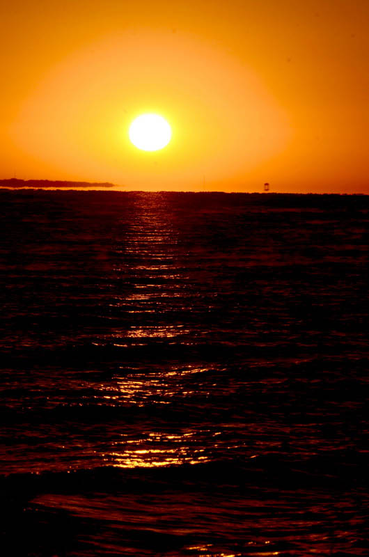 DSC_0587_ͼ_С.jpg