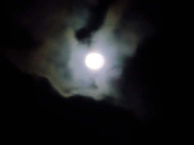 DSCN9935_conew2.jpg