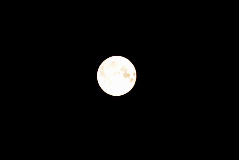 DSC_3186.JPG