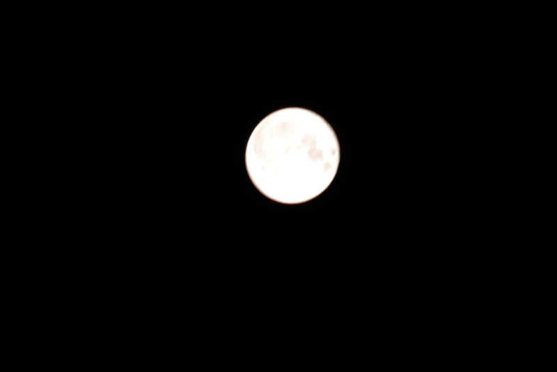DSC_3203.jpg