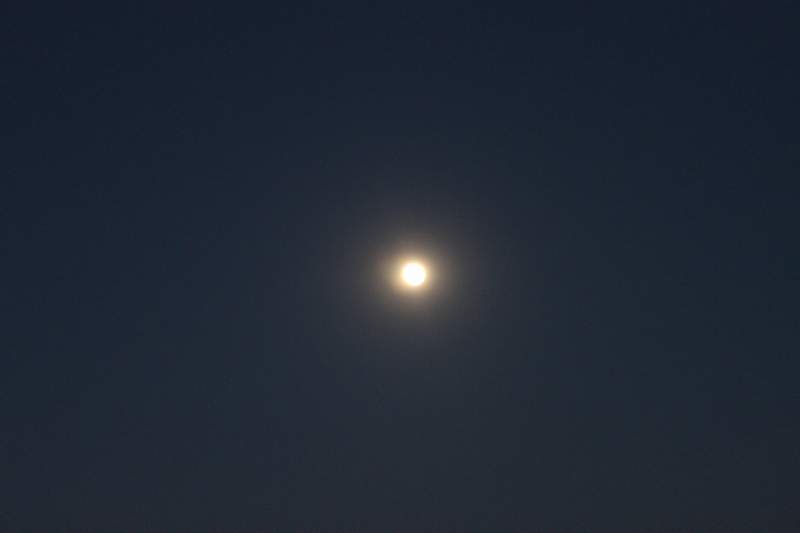 IMG_5093.JPG