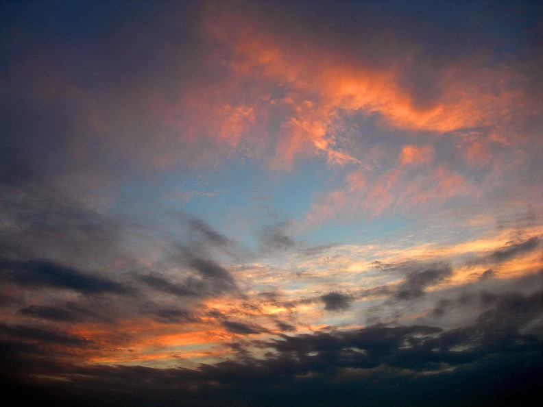 DSCN9811-3.jpg