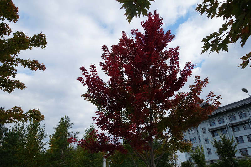 DSC07144.JPG