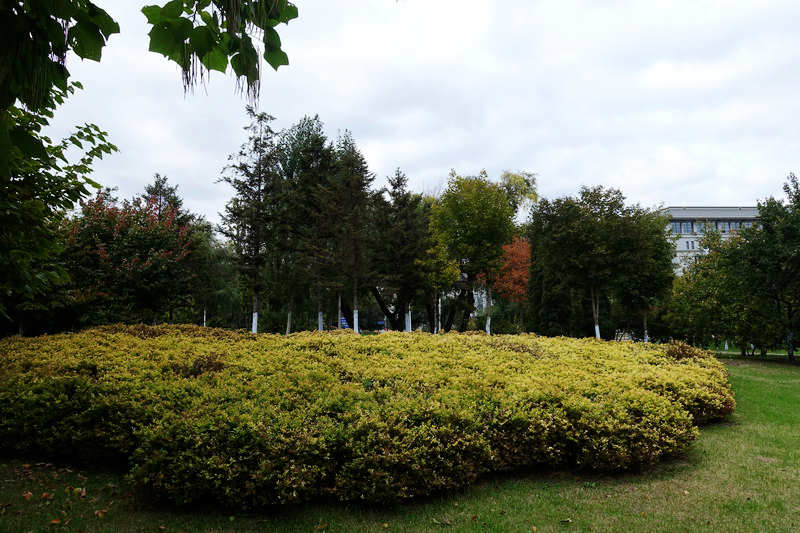 DSC07184.JPG