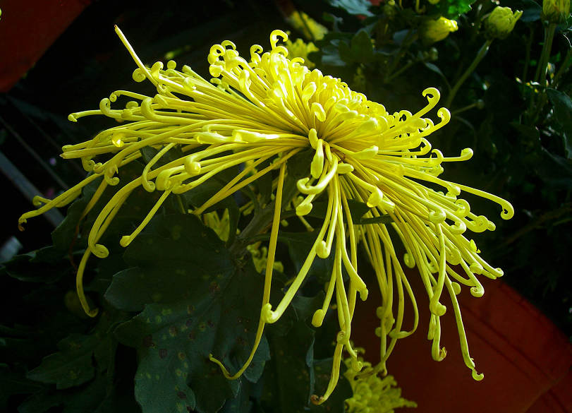 DSCN7284-3.jpg