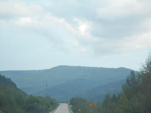 DSCN2234_.jpg