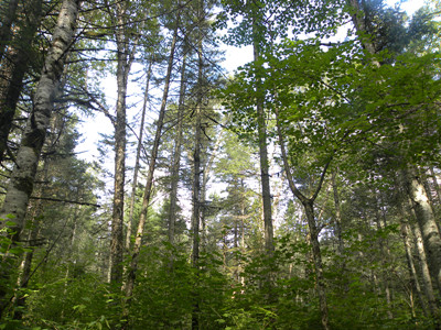 DSCN2429_.jpg