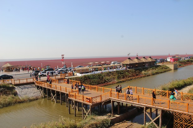 IMG_8692.JPG