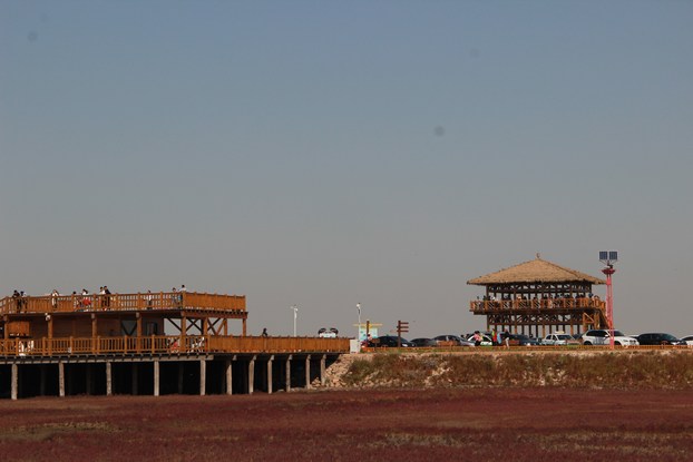 IMG_8712.JPG