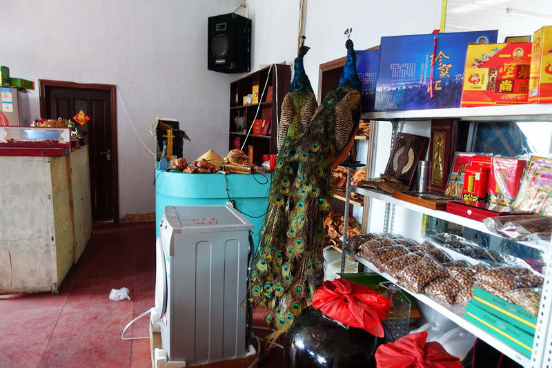 DSC07390.JPG