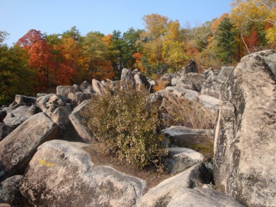 DSC03473_conew2.JPG