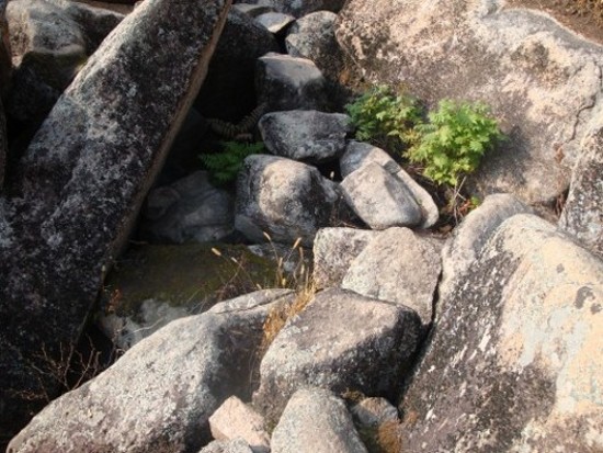 DSC03475_conew3.JPG