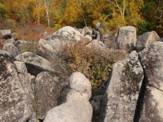 DSC03476_conew4.JPG