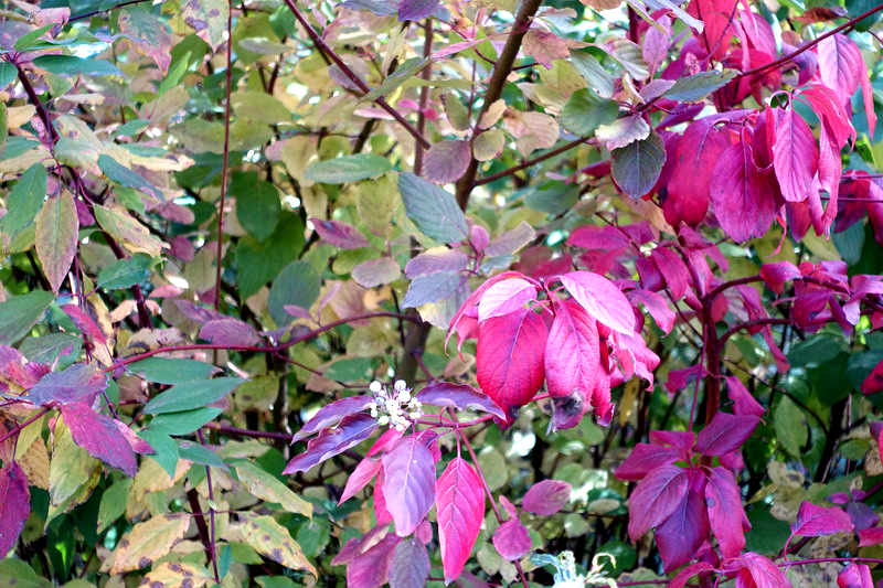 DSC07434.JPG