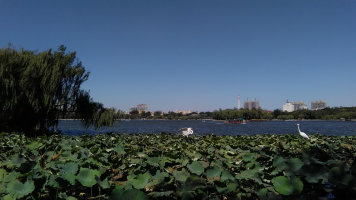 psb (10).jpg