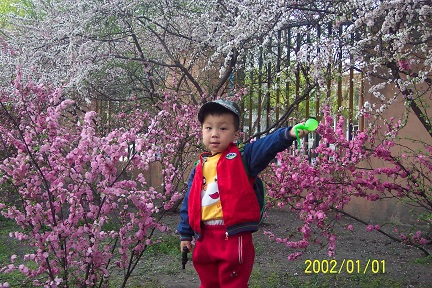 Ƭ 004.jpg