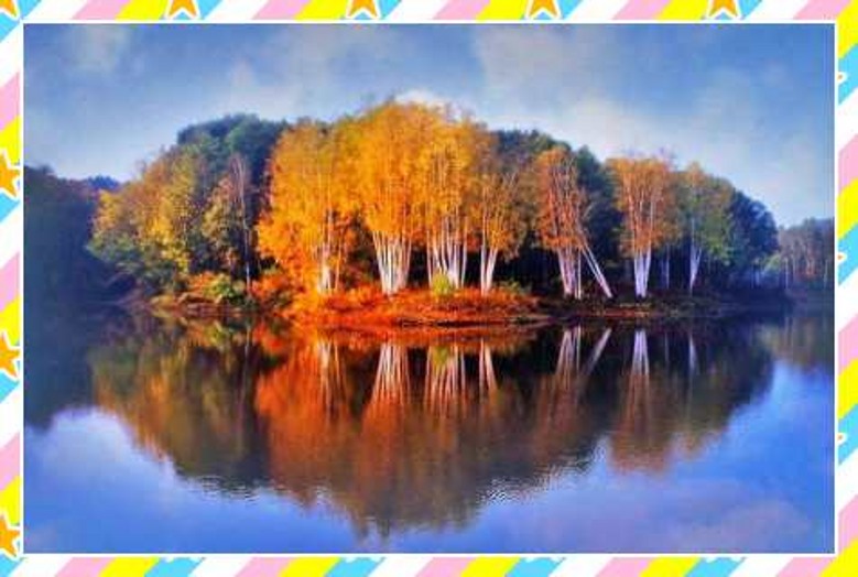 2012116145918514_conew2.jpg