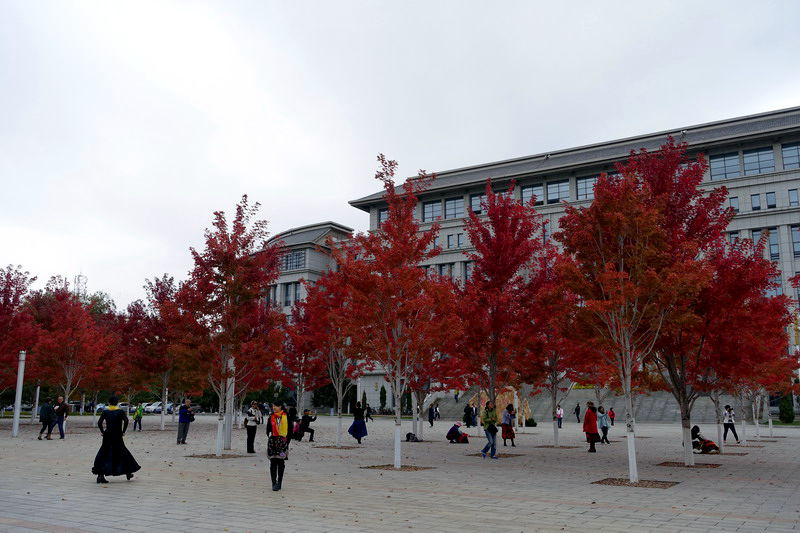 DSC07505.jpg