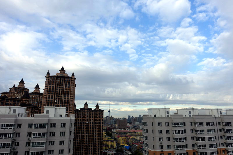 DSC07561.jpg