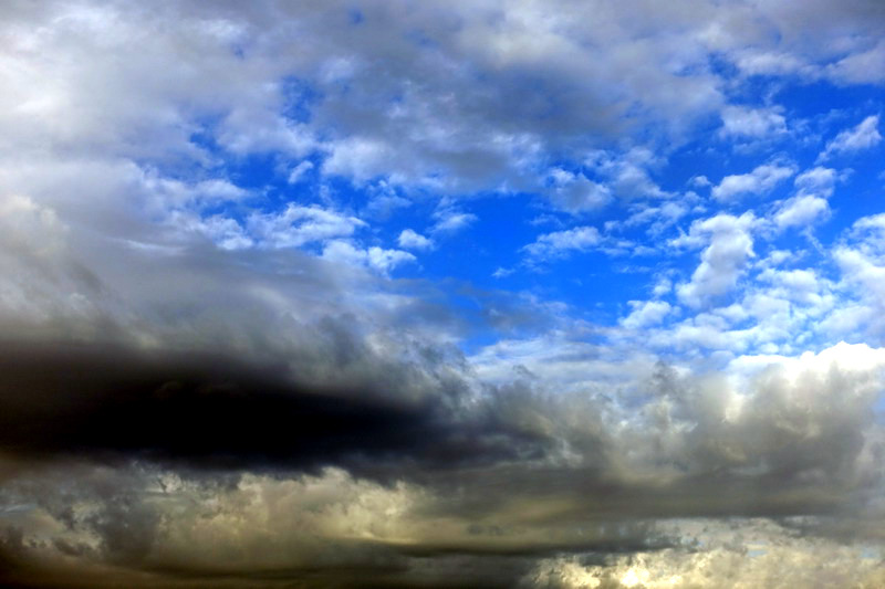 DSC07564.jpg