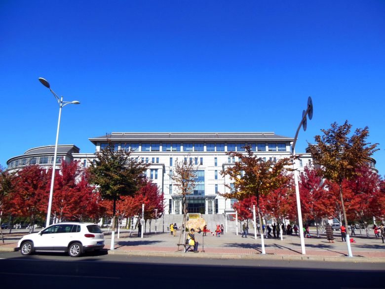 DSCN8433_conew1.jpg