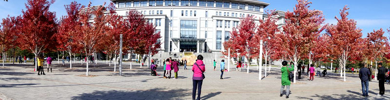 DSC07569.jpg