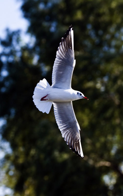 DSC_4488_ͼ_С.jpg