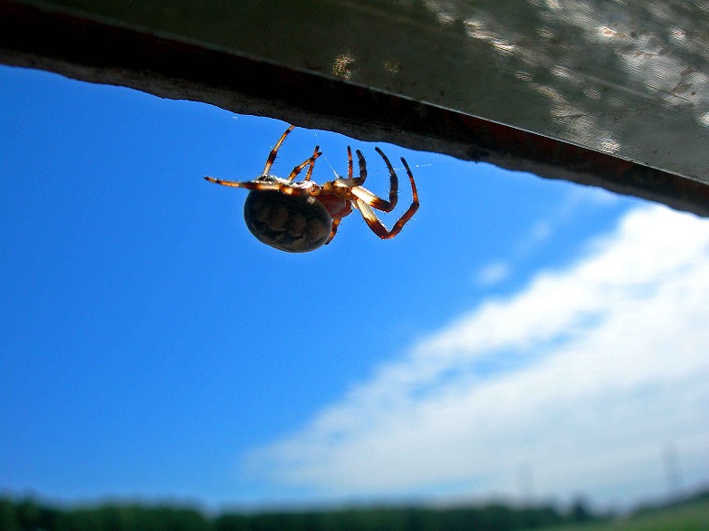 DSCN5345-3.jpg