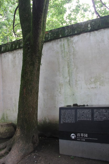 934.JPG
