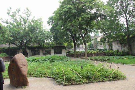 936.JPG