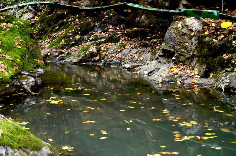 DSC_4029_ͼ_С_С.jpg