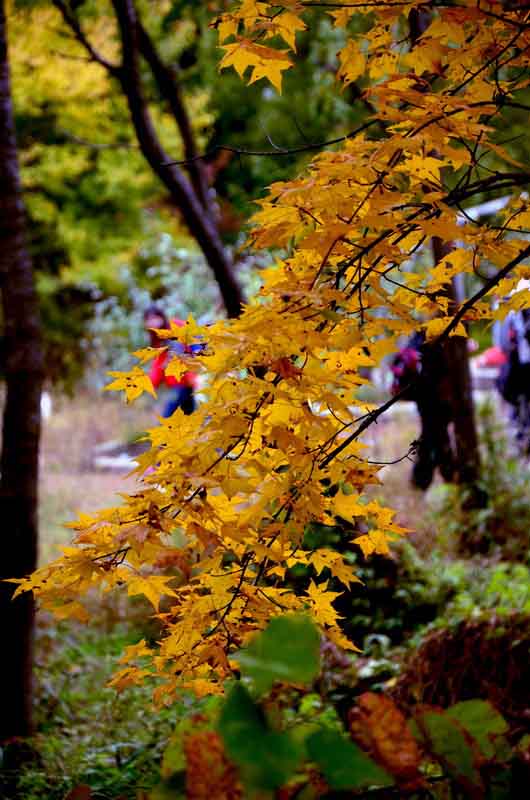 DSC_4138_ͼ_С_С.jpg