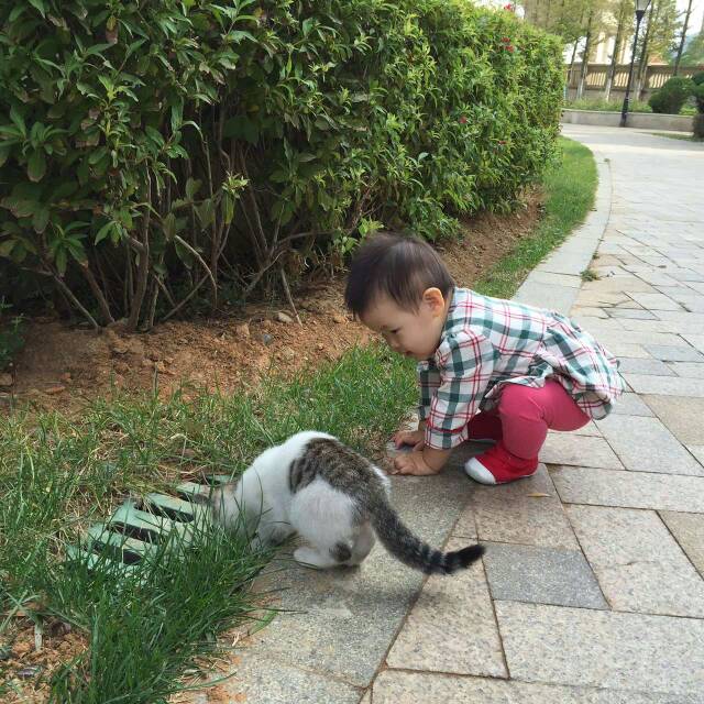 ɰС