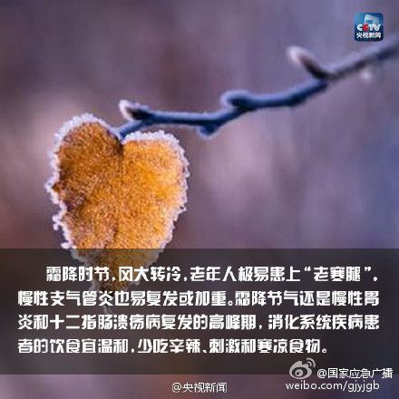 20151023144532684.jpg