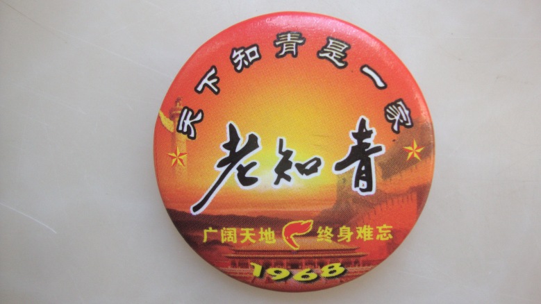 DSC08260_conew1.jpg