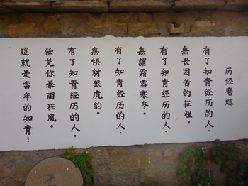 P1010764.JPG