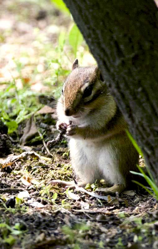 DSC_9143_С.jpg