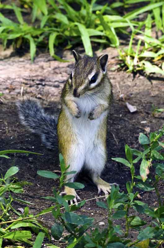 DSC_9205_С.jpg