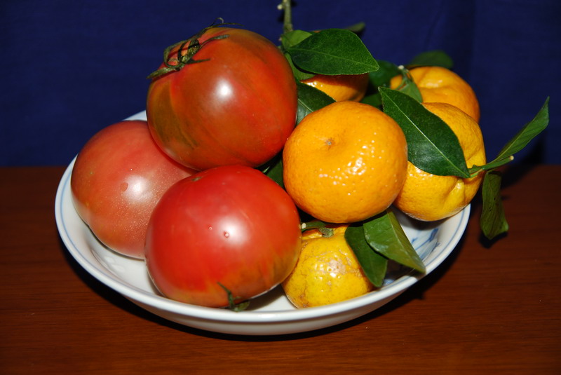J9.JPG