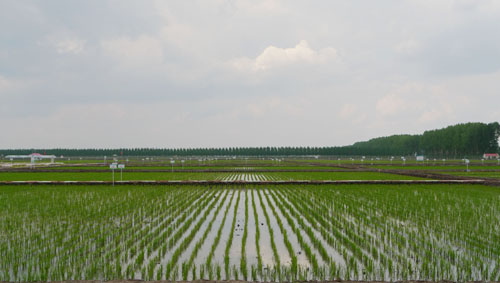 20110610112046355.jpg