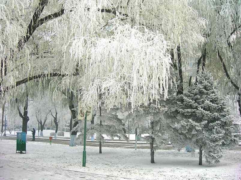 DSCN0416-3.jpg